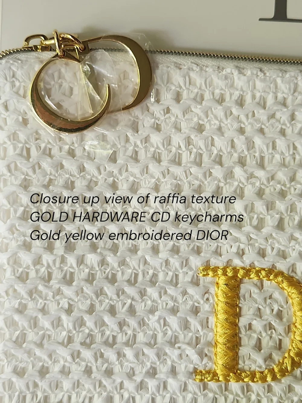 LIMITED EDITION Dior Raffia Pouch